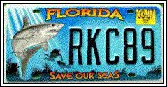 FL Save our Seas (Shark)