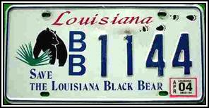 Beschreibung: Save the Louisiana Black Bear