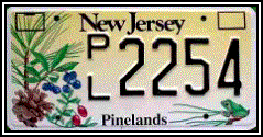 NJ Pinelands