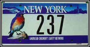 NY American Children's Safety Network
