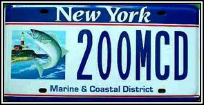 Supports the Conservation, Education, and Research Fund of the Marine and Coastal District of NY.